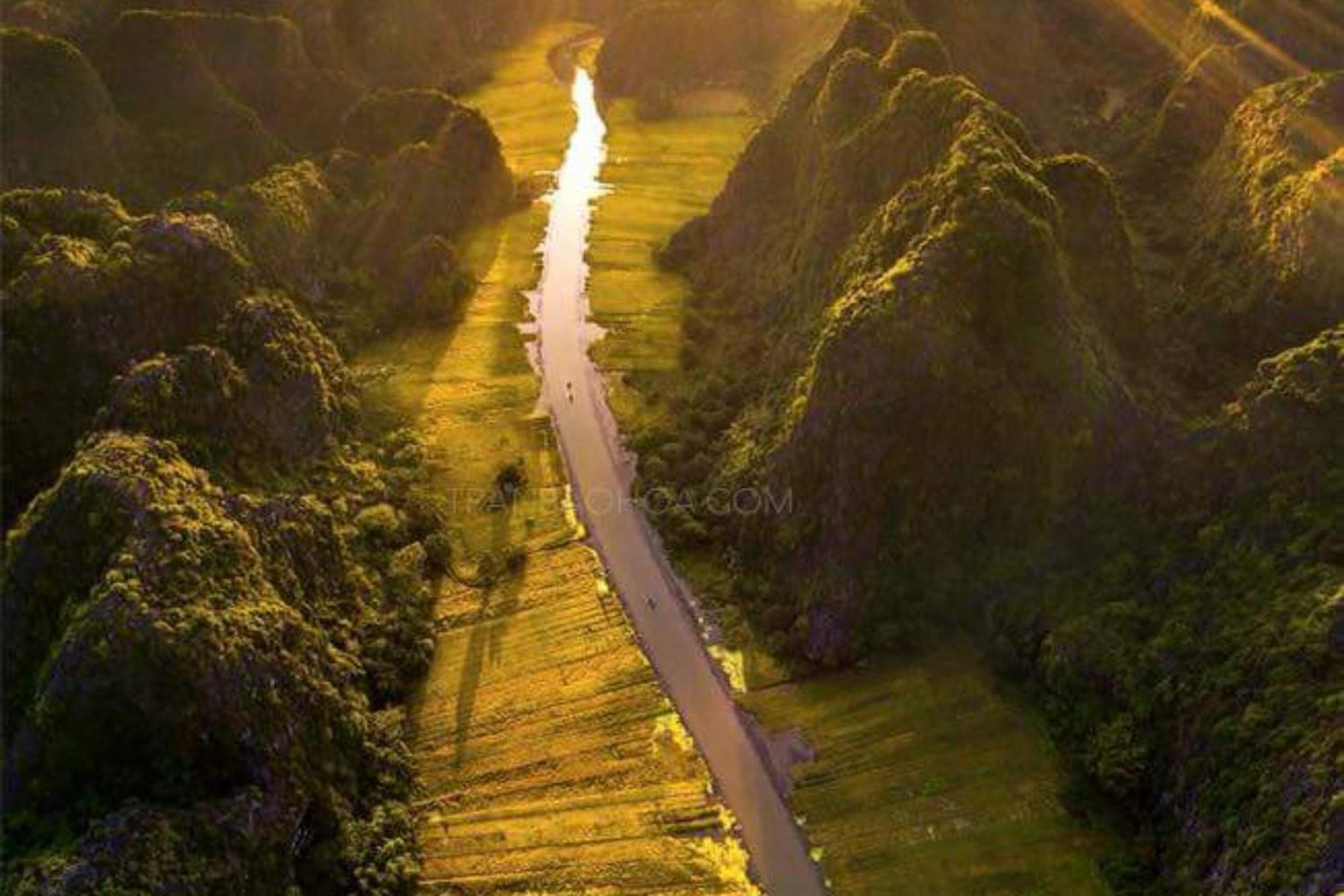 The Pineapple House Bed & Breakfast Ninh Binh Dış mekan fotoğraf