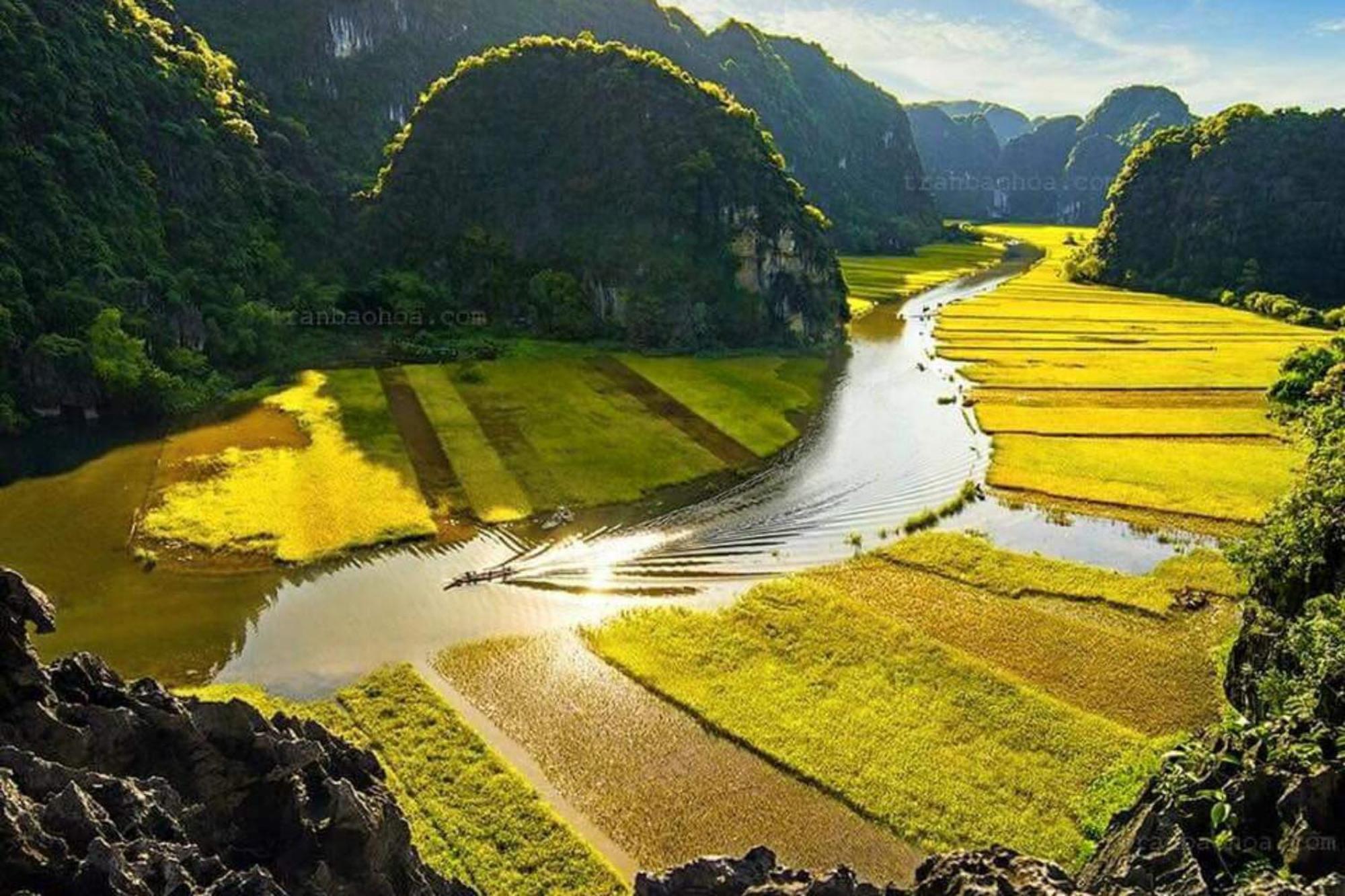 The Pineapple House Bed & Breakfast Ninh Binh Dış mekan fotoğraf